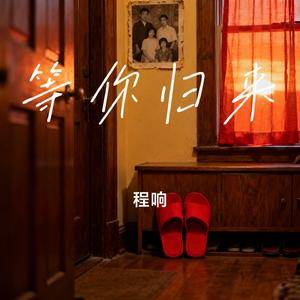 等你归来